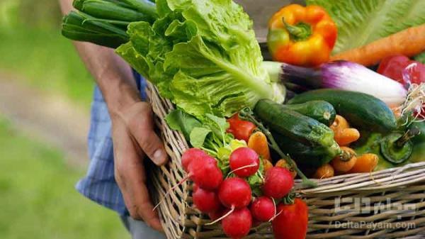 سبزیجات مقوی و سالم را بشناسید
